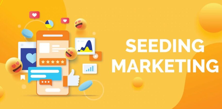 Dịch Vụ Seeding DPS.MEDIA Uy Tín - Giá Cả Phải Chăng