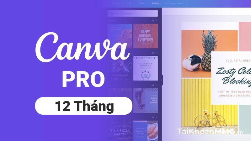 Tư ⁤vấn tận tâm ⁢và đồng hành xuyên suốt cùng doanh nghiệp ​tận dụng Canva Pro để bứt phá doanh số