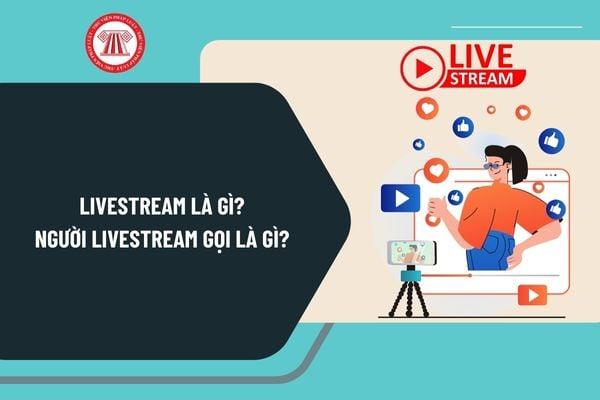 Mở rộng tệp khách hàng nhờ hợp tác livestream cùng KOLs, Influencers