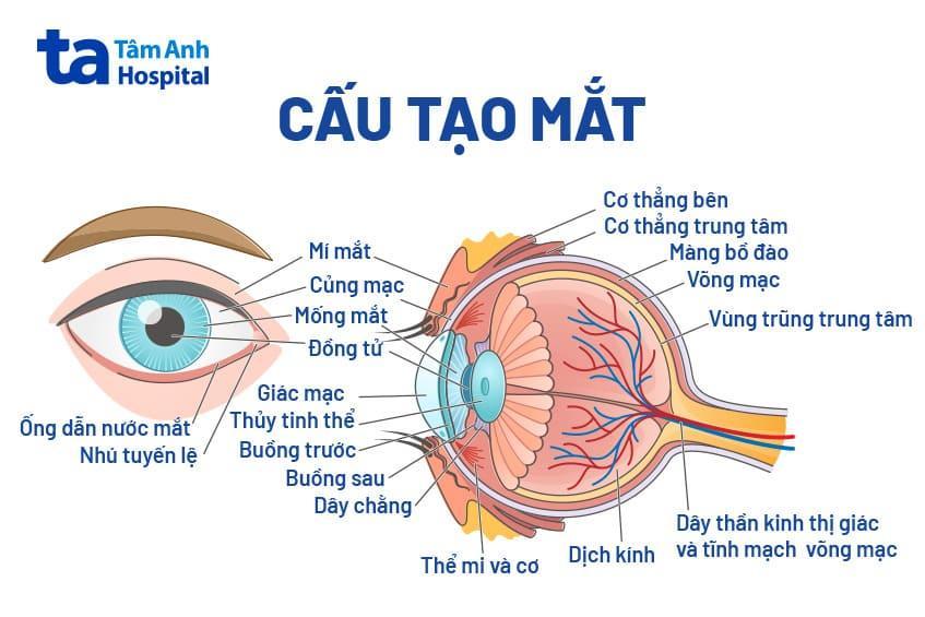 Quy mô phát triển và đội ngũ nhân sự của DPS.MEDIA JSC