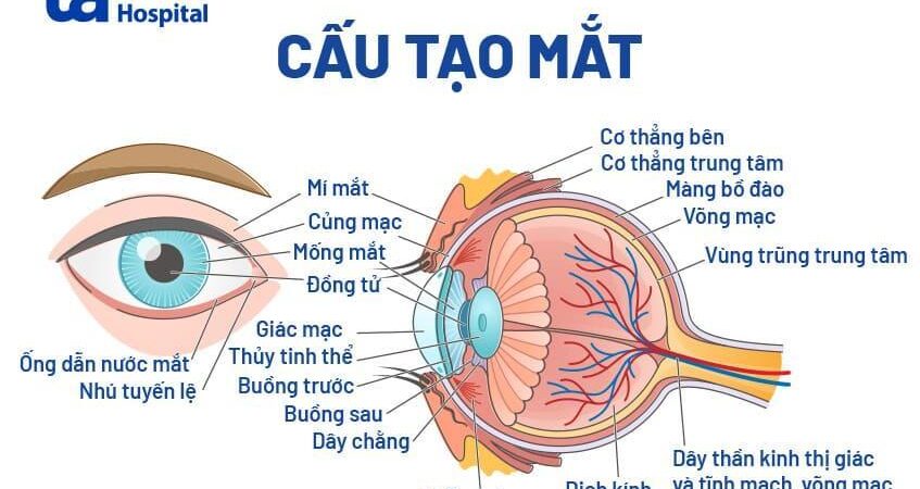 Giới thiệu công ty DPS.MEDIA JSC – Đối tác Digital Marketing toàn diện cho SMEs