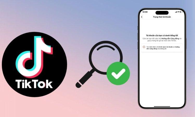 TikTok Dynamic Showcase Ads: Công cụ tiếp thị sản phẩm thông minh