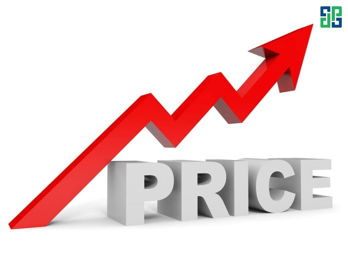 Flexible Price Adjustment Strategy Flexible price adjustment strategy