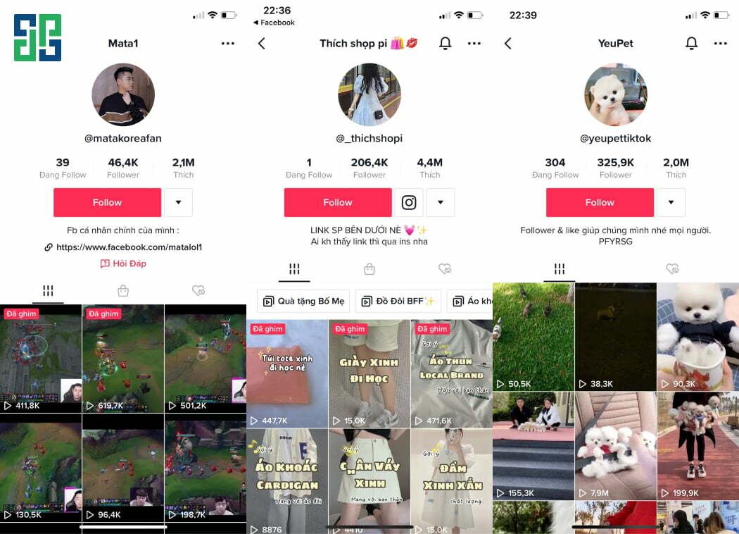 选择适合您创意内容的TikTok账号