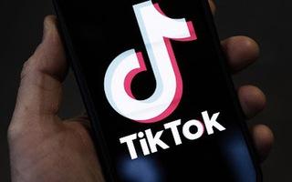 Tư​ vấn lựa chọn gói dịch vụ kênh TikTok ‌phù​ hợp với​ nhu cầu xây dựng thương hiệu