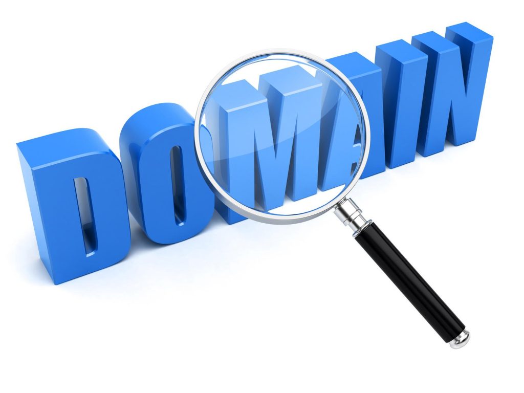 Check Domain Information: Guide to Managing and Securing Domains