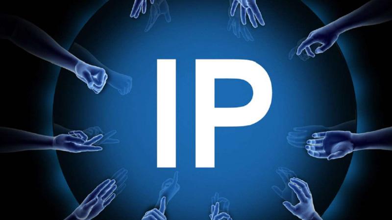 Check IP Website Online: How to look up site IP, accurate URL
