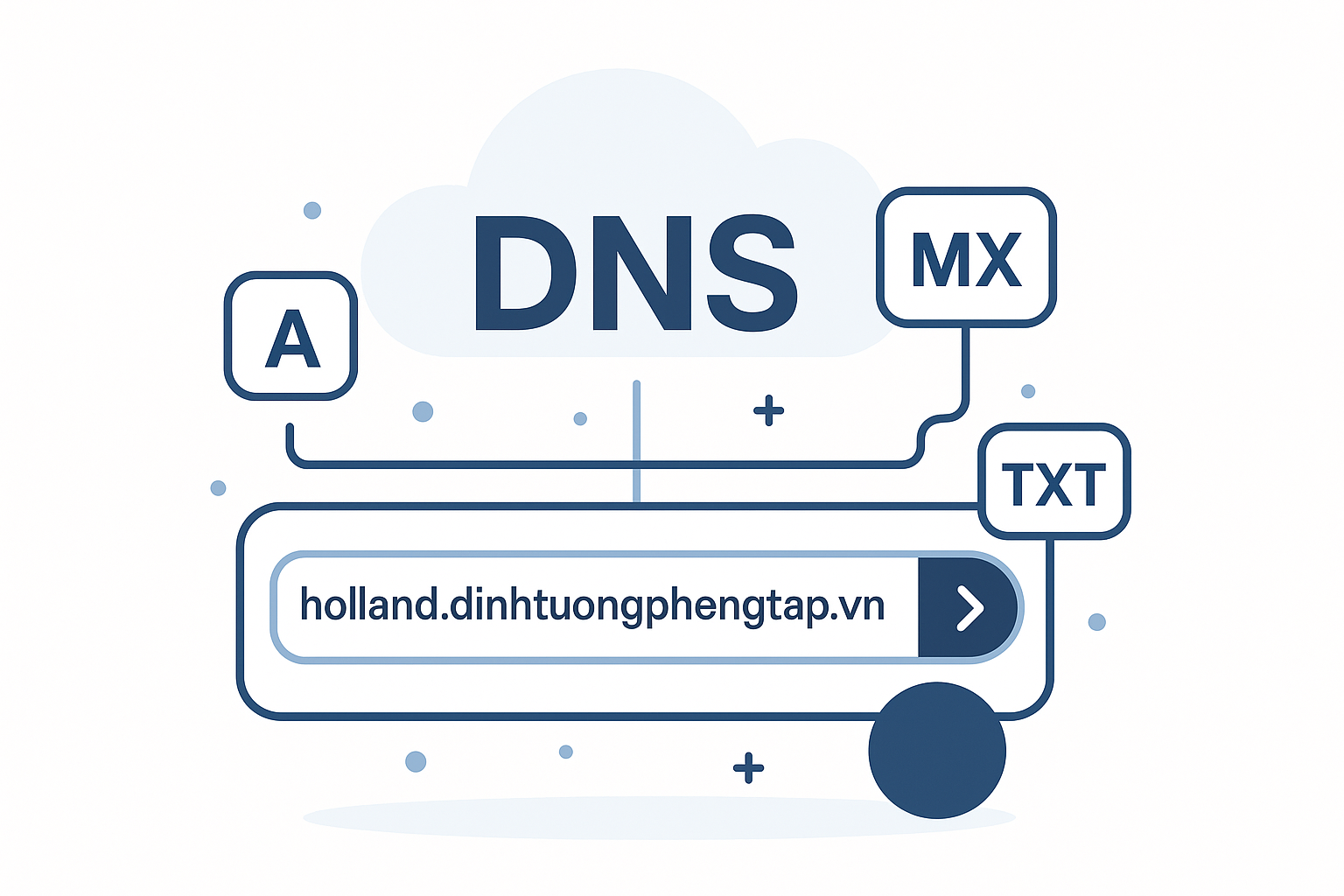 Tra Cứu DNS Hàng Loạt: Giải Pháp Tối Ưu Cho Quản Lý Tên Miền