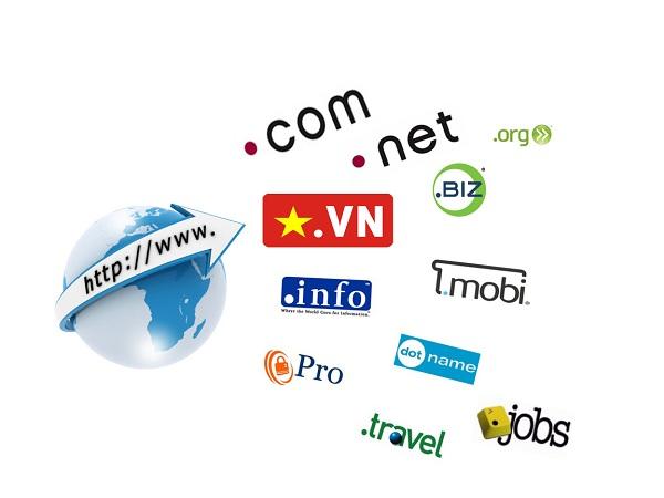 Tầm quan trọng của việc kiểm tra thông tin tên miền trong chiến lược kinh doanh số