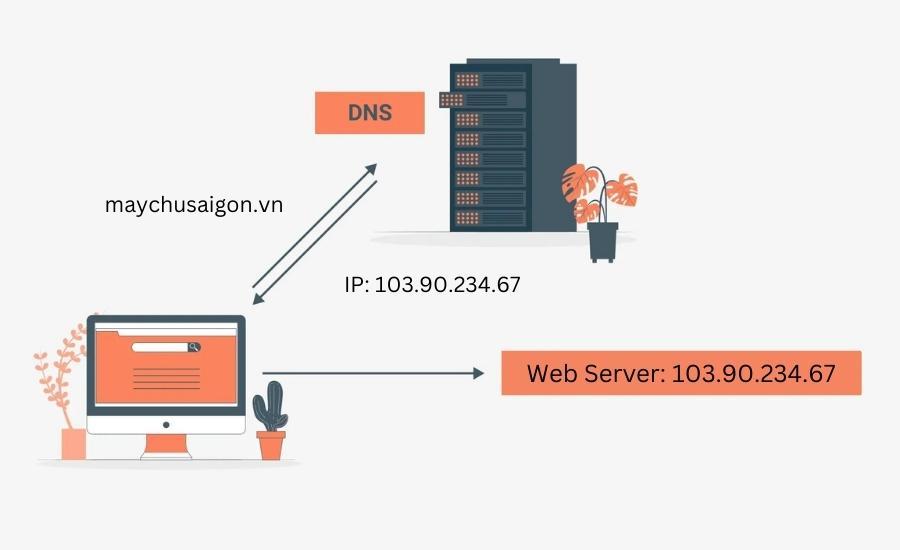 Chi tiết ​từng bước kiểm tra domain với công cụ WHOIS và vai trò của thông tin domain trong quản trị tên miền