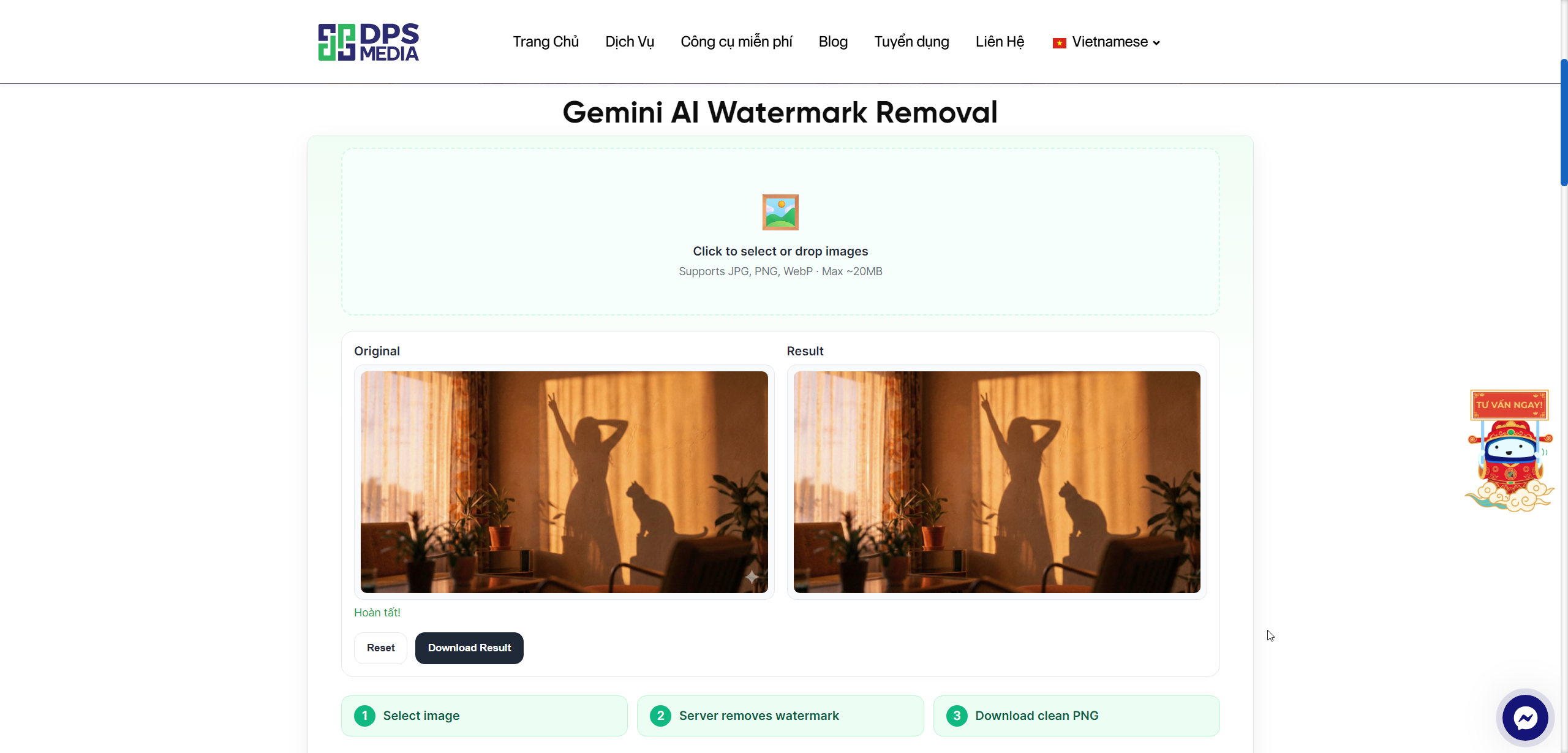 Gemini AI Watermark Removal